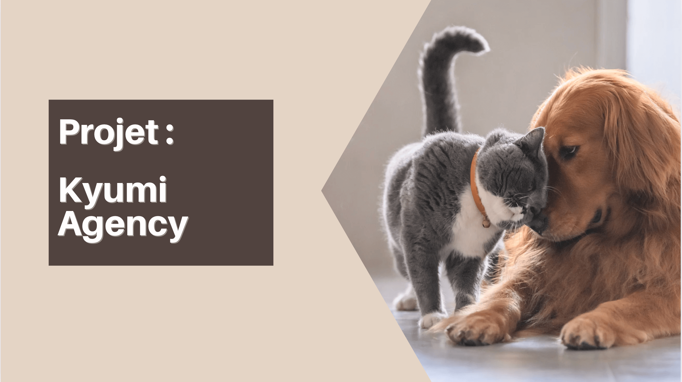 KYUMI AGENCY